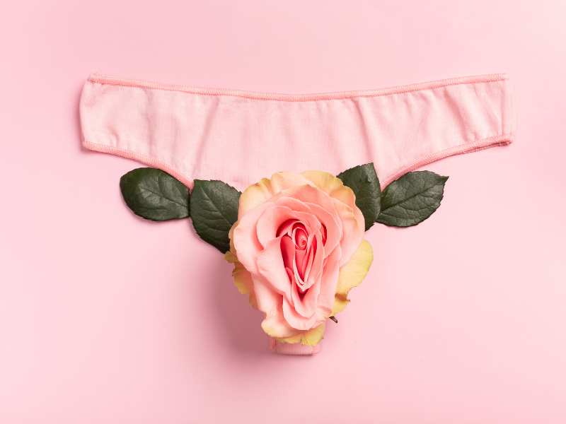 genital estetik